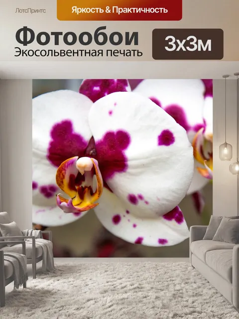Фотообои Орхидея