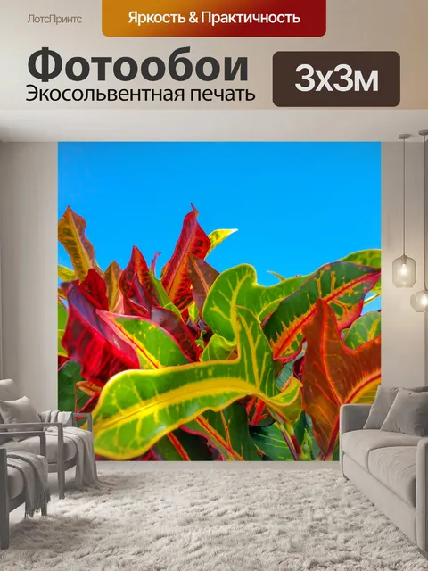 Фотообои садовый кротон