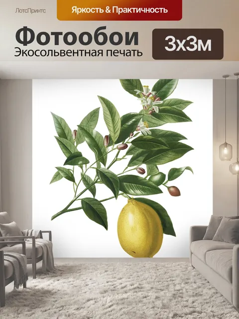Фотообои Лимонный фрукт винтаж старый