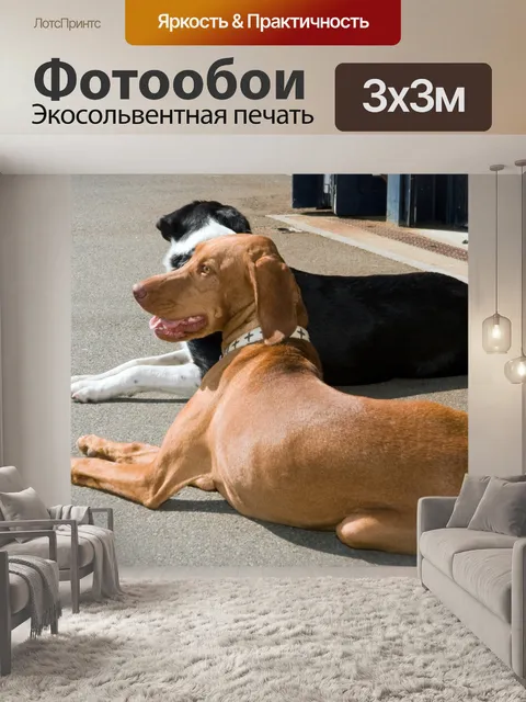 Фотообои Собаки