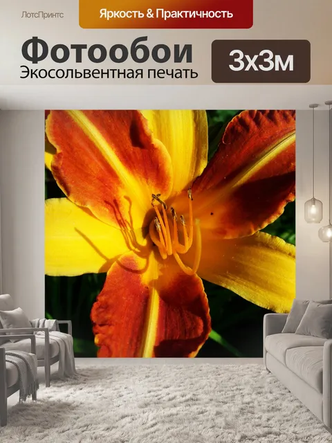 Фотообои Шалфейная лилия