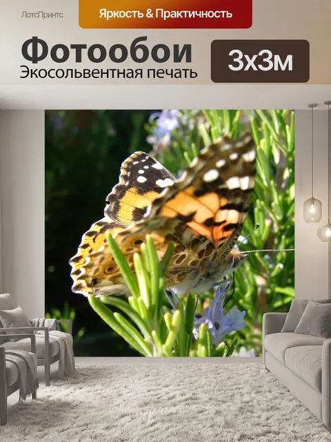 Фотообои Бабочка