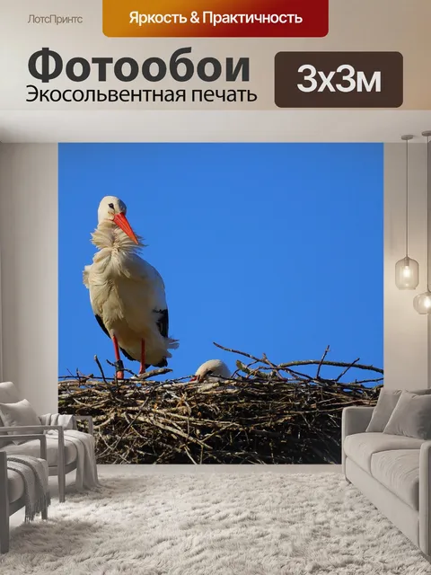 Фотообои Аист