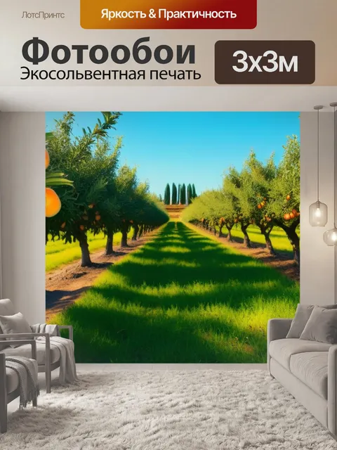 Фотообои апельсиновый сад в солнечный день