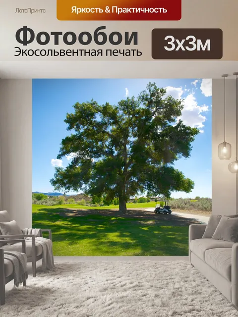 Фотообои Гольф Корзина в тени