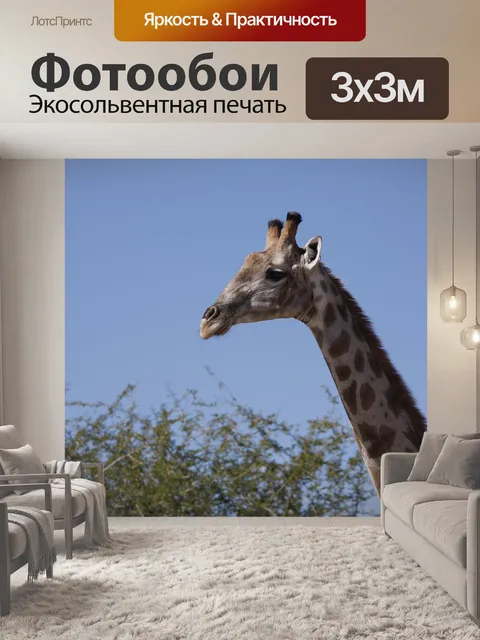 Фотообои Жираф
