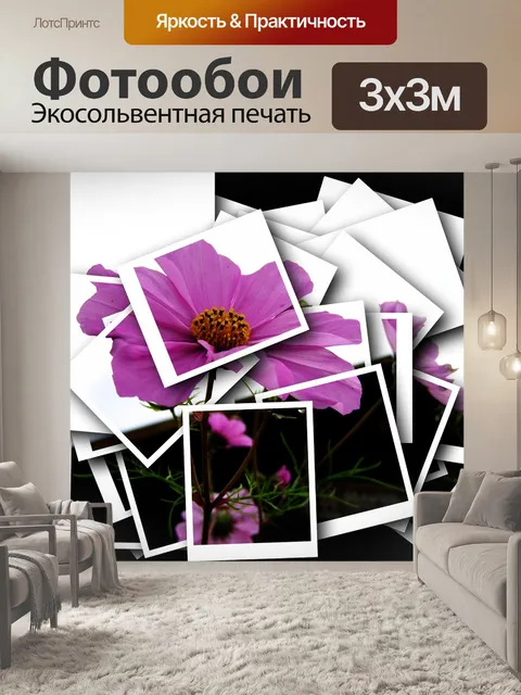 Фотообои Бриз роза