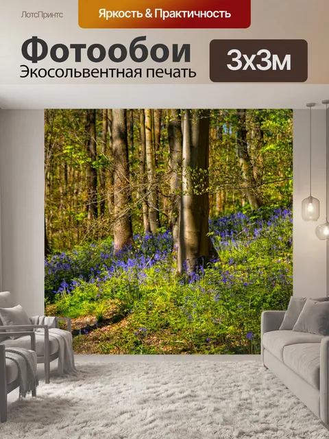 Фотообои Лес в Скиптоне