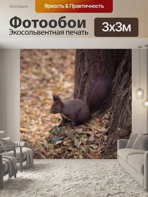 Фотообои Животное
