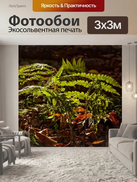 Фотообои Папоротник