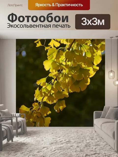 Фотообои Желтые листья