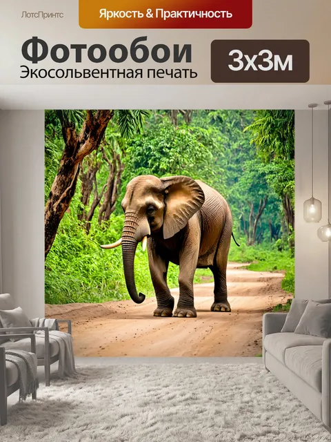 Фотообои слон, гуляющий по тропическому лесу