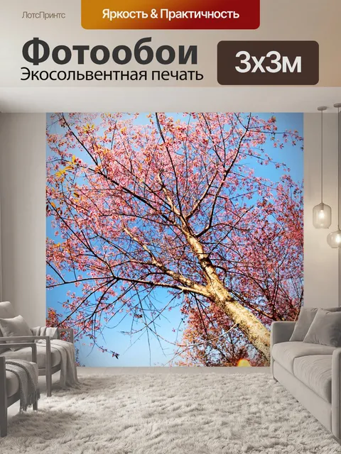 Фотообои Prunus cerasoides, дикая гималайская виш