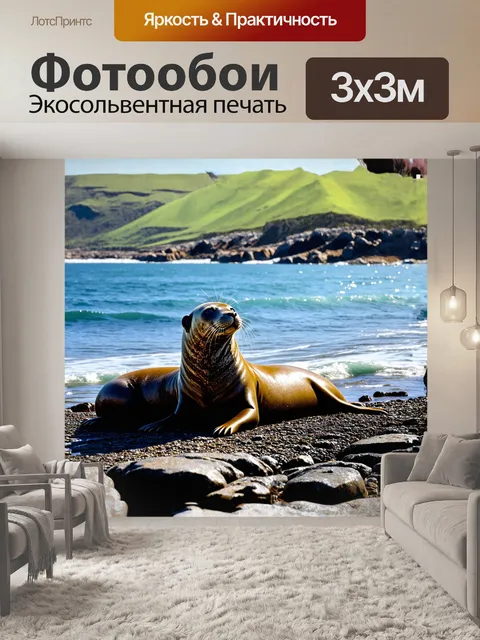 Фотообои тюлень лежит на каменистом берегу, его гладкое тело сверкает на солнце