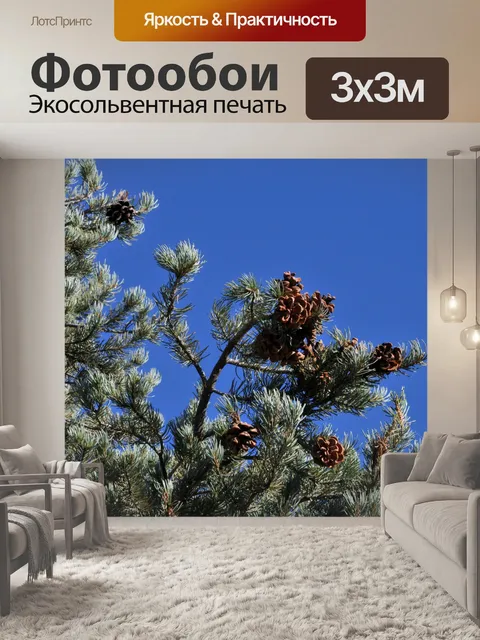 Фотообои Сосновые шишки и голубое небо