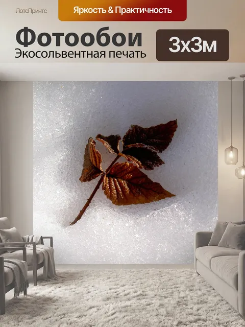 Фотообои Лист