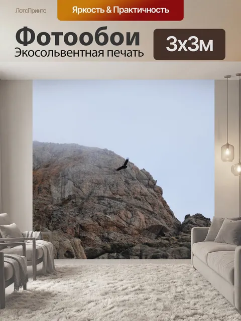 Фотообои Кондор