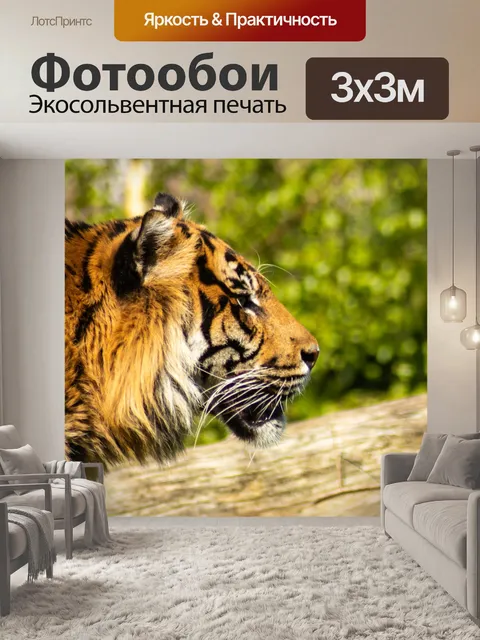 Фотообои Тигр