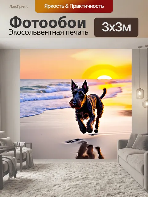 Фотообои шотландский терьер, бегущий по берегу моря, оставляя следы на песке, с ярким горизонтом заката