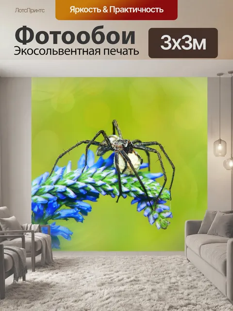 Фотообои Darownik чудный