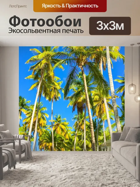 Фотообои Пальмы и голубое небо