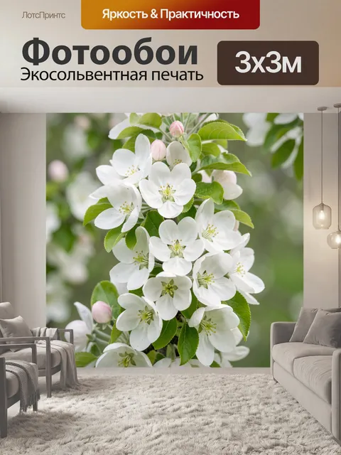 Фотообои Белые цветы яблони