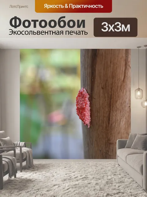 Фотообои Желтая улитка
