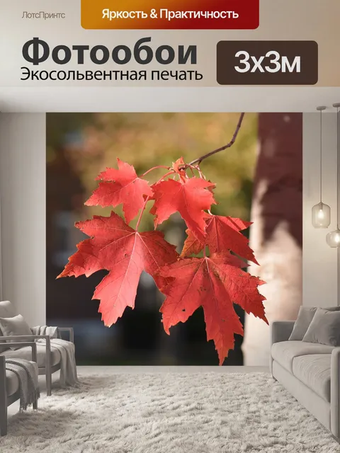 Фотообои Лист
