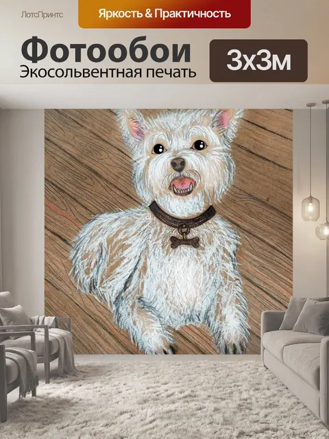 Фотообои красивая белая собака