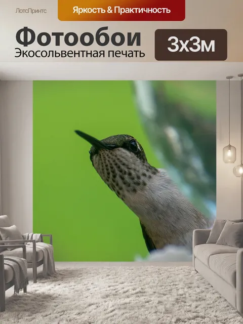 Фотообои Птица