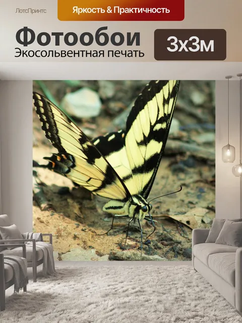 Фотообои Восточный тигр Swallowtail крупным плано