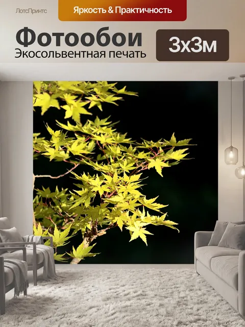 Фотообои Желтый клен выходит осенью