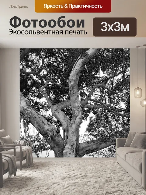 Фотообои Красный фонарь