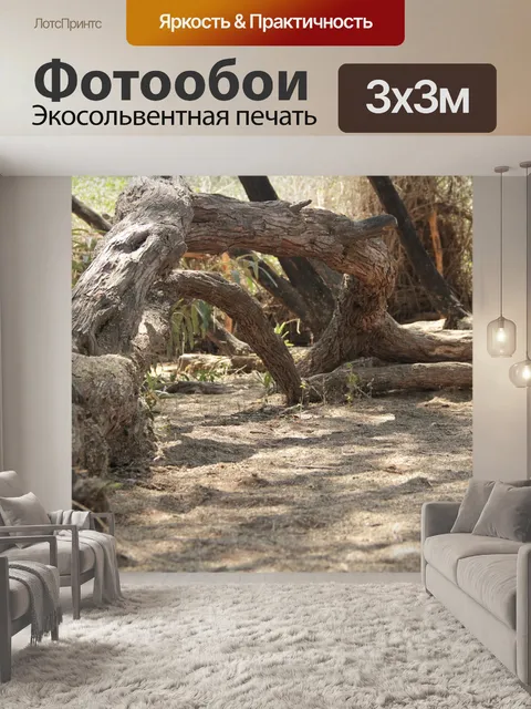 Фотообои Ствол