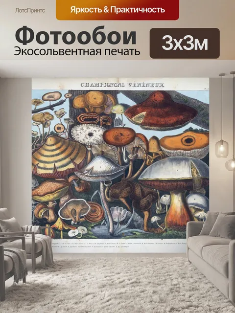 Фотообои Винтажная иллюстрация чемпиона грибов