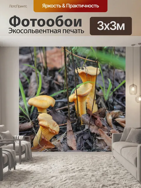 Фотообои Лисички