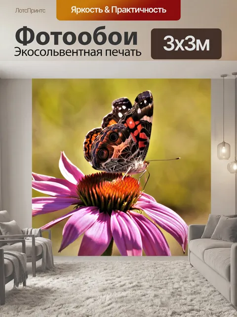 Фотообои Бабочка на розовом цветке