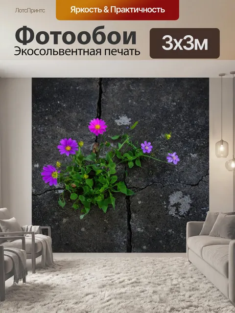 Фотообои темный фон, растущие цветы в трещинах бетона, детали, символизирующие надежду и силу жизни, контраст между…