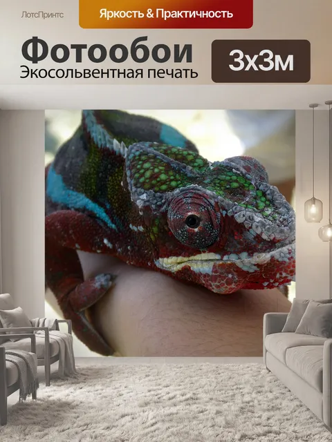 Фотообои Хамелеон