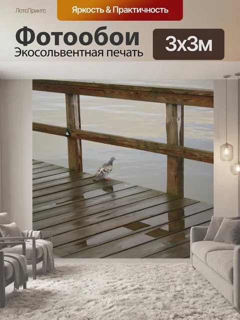 Фотообои Голубь Гребля на палубе
