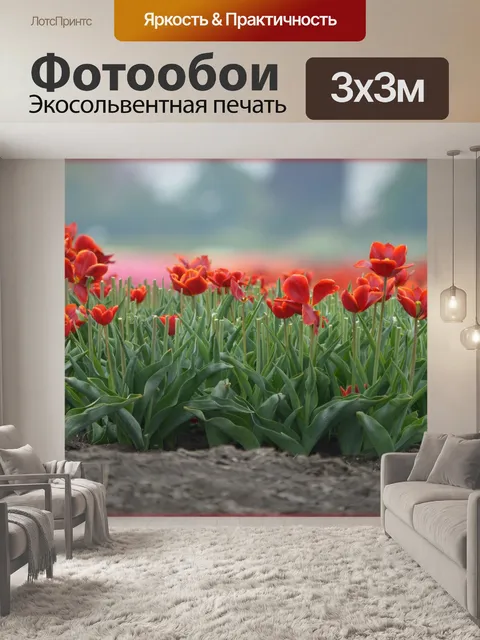 Фотообои Красные тюльпаны