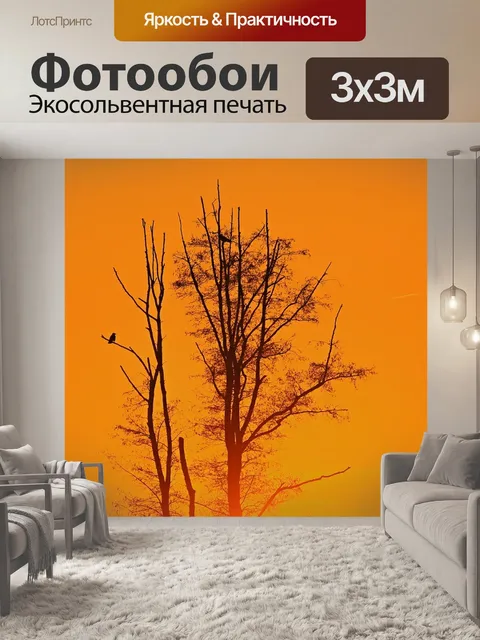 Фотообои Заход солнца