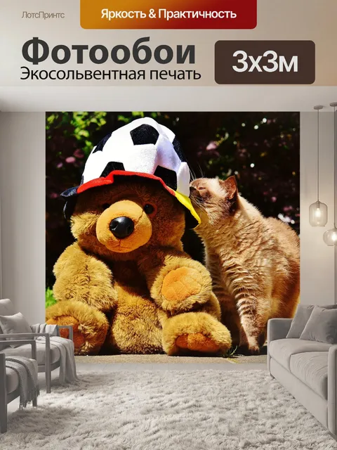 Фотообои Чемпионат европы