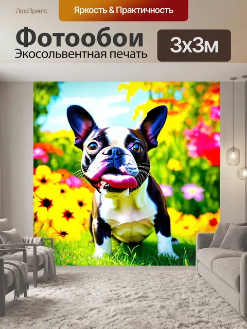 Фотообои в ярком цветном саду, маленький бостон-терьер игриво тянет свой язычок к носику, его шерсть блестит на солнце