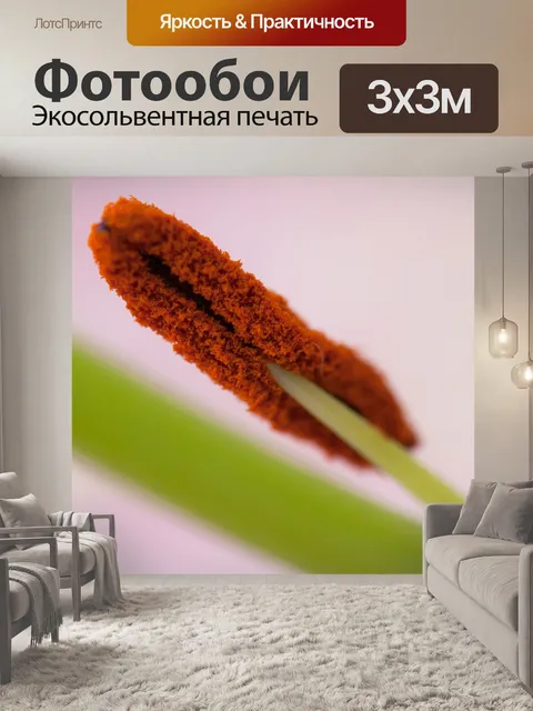 Фотообои пыльник