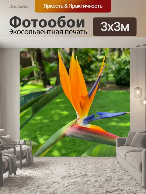 Фотообои Цветок райской птицы