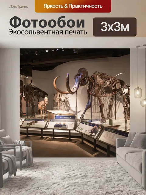 Фотообои Экспонат музея