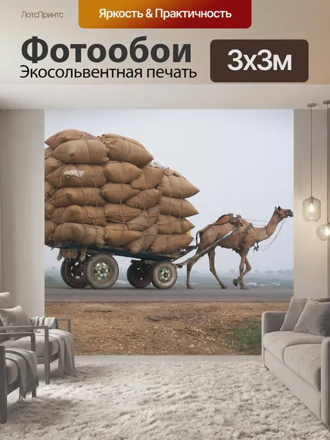 Фотообои Верблюд