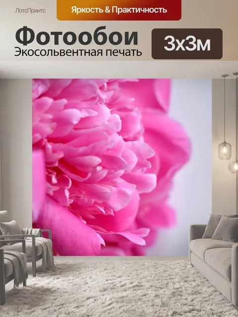 Фотообои Пион