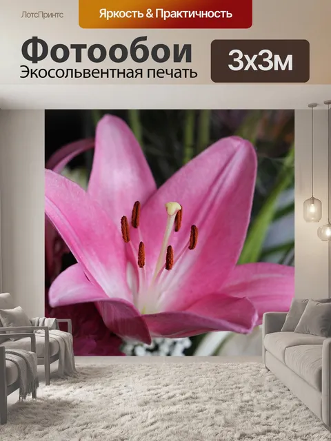 Фотообои Лили